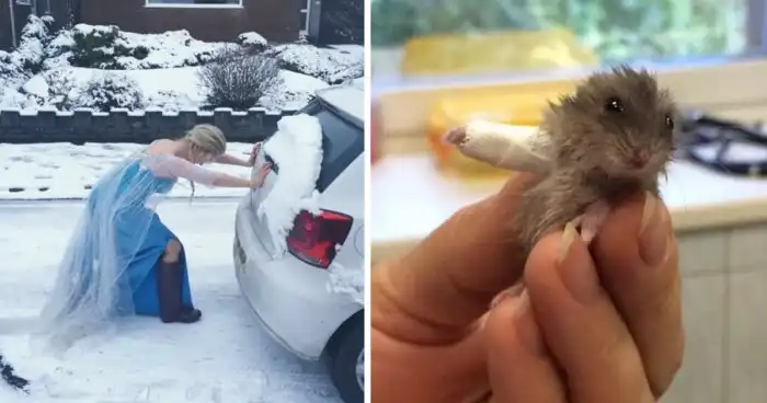 17 человек, которые выкладываются на работе на все 120%