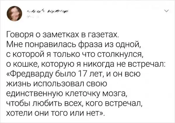Подборка забавных твитов о домашних питомцах