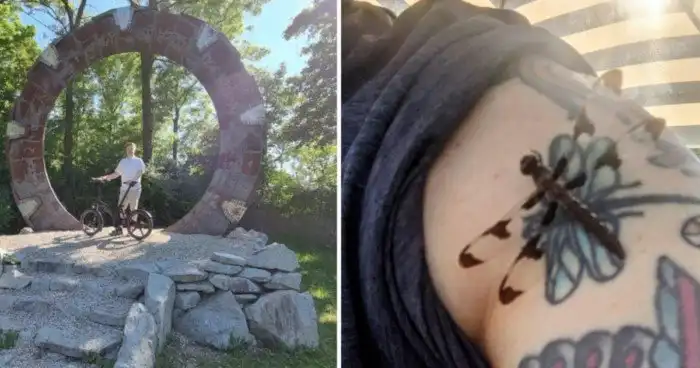 15 непредсказуемых находок, которые попались любознательным людям