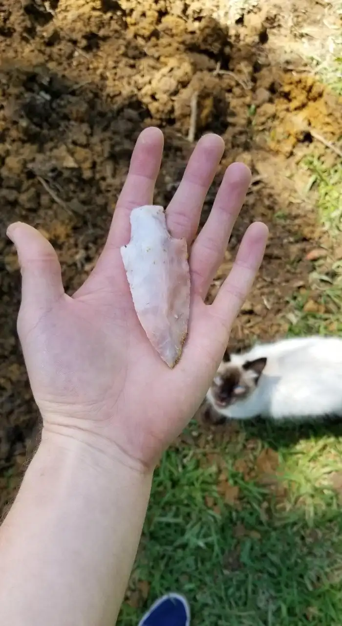 15 непредсказуемых находок, которые попались любознательным людям