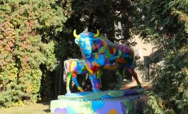 Беда в Калуге: ЛГБТ-коровы с "человеческими" лицами