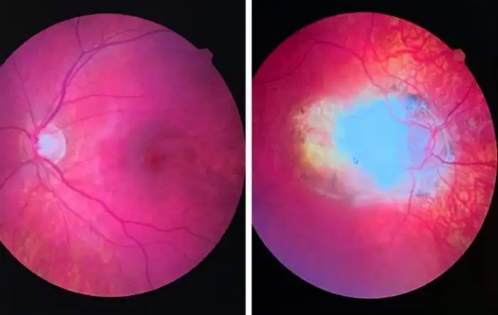 20+ метких сравнений, которые покажут, что такое большая разница