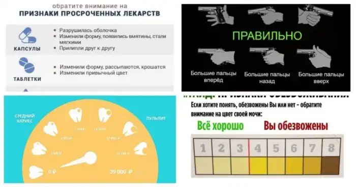 Виды яиц и другие важные шпаргалки, которые расширят ваш кругозор