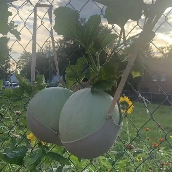 15 умных решений от бытовых гениев