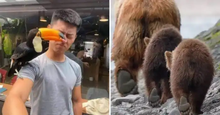 20 идеальных кадров, сделанных в самый удачный момент