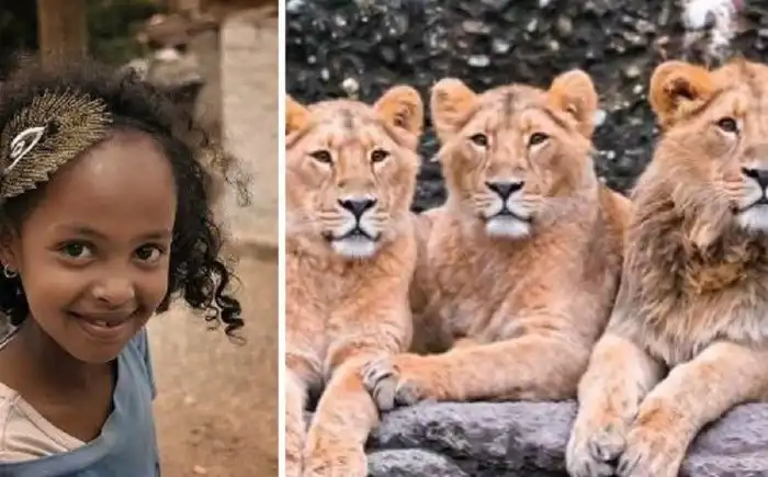 Факты и истории, которые нас удивили