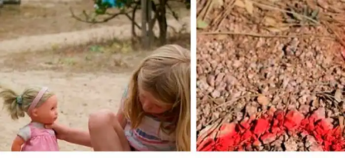 30 фактов, которые вас удивят