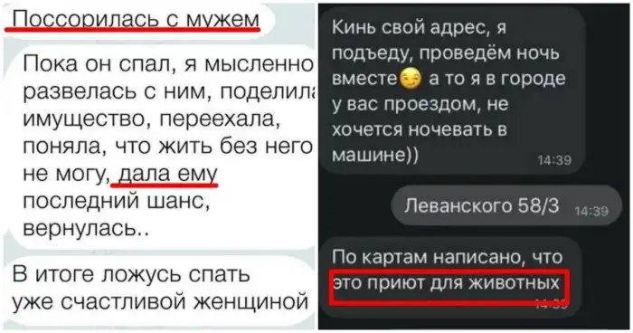 16 СМС-переписок, претендующих на звание "Умора года"