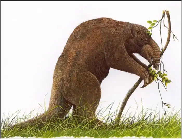 Палорхест: Тело медведя, голова тапира и очень длинный язык. Доисторическая Австралия вновь поражает своими обитателями