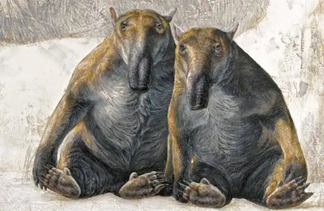 Палорхест: Тело медведя, голова тапира и очень длинный язык. Доисторическая Австралия вновь поражает своими обитателями