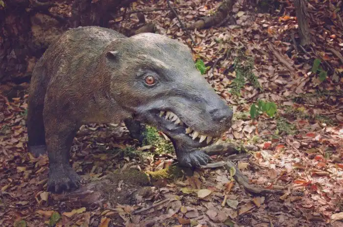 Дейногалерикс: Ёж без иголок, но размером с собаку. Жизнь и смерть в доисторической Италии