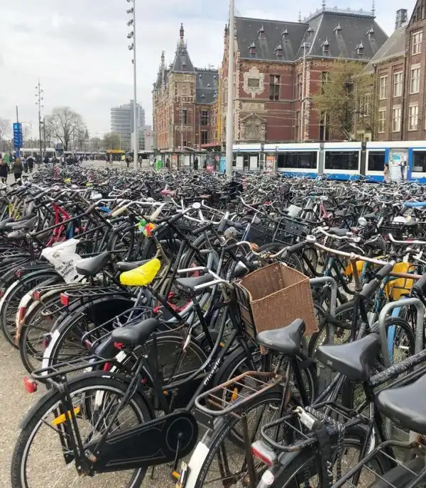 Интересные факты о Нидерландах