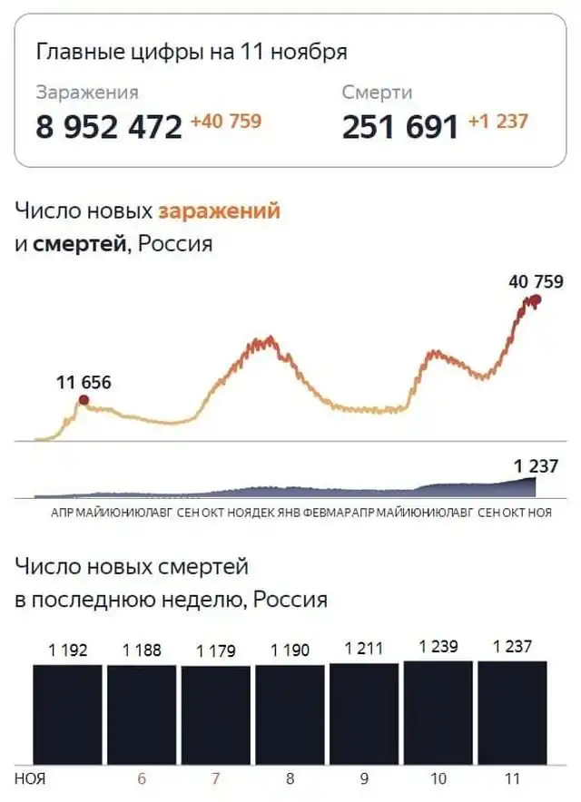 Россия вышла на первое место в мире по количеству смертей от коронавируса