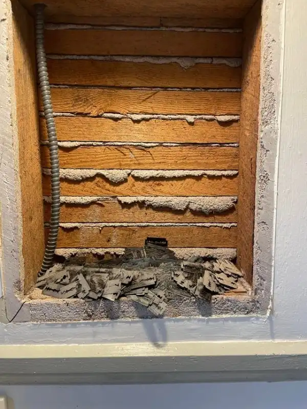 Пользователи похвасталась своими интересными находками из прошлого