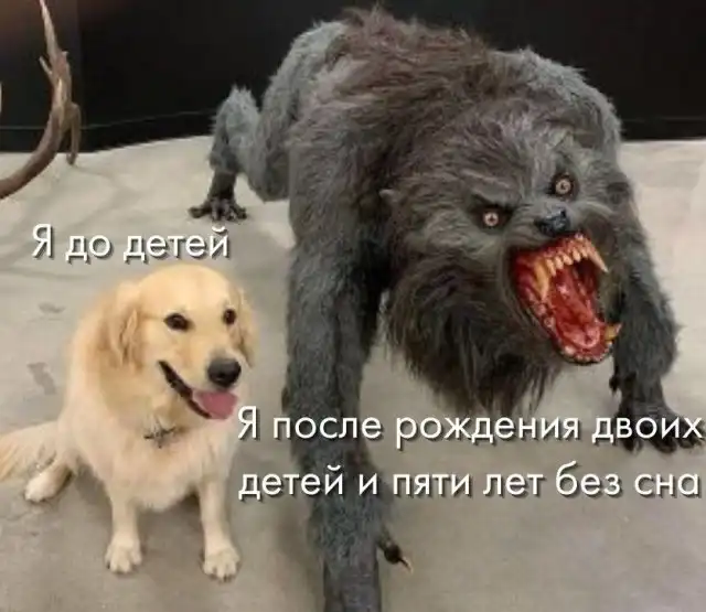 Шутки и мемы из родительских чатов