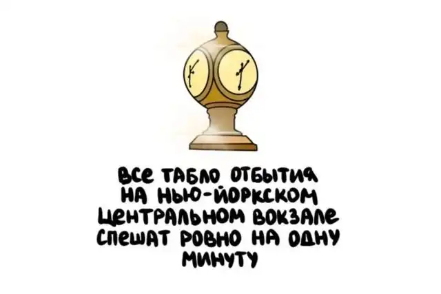 Интересные факты обо всем