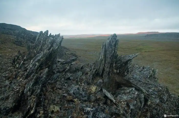 Не ходите, дети, в Арктику гулять: как северные широты «высасывают душу» и ломают психику