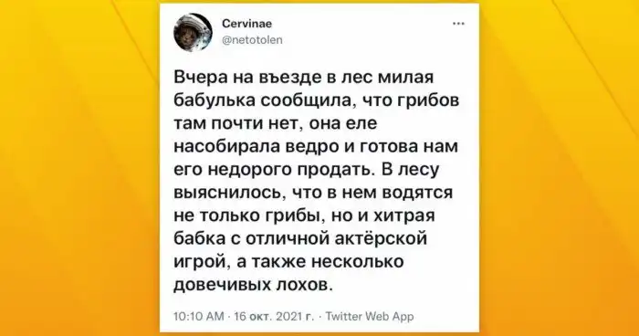 Лучшие из лучших: подборка самых убойных обманов