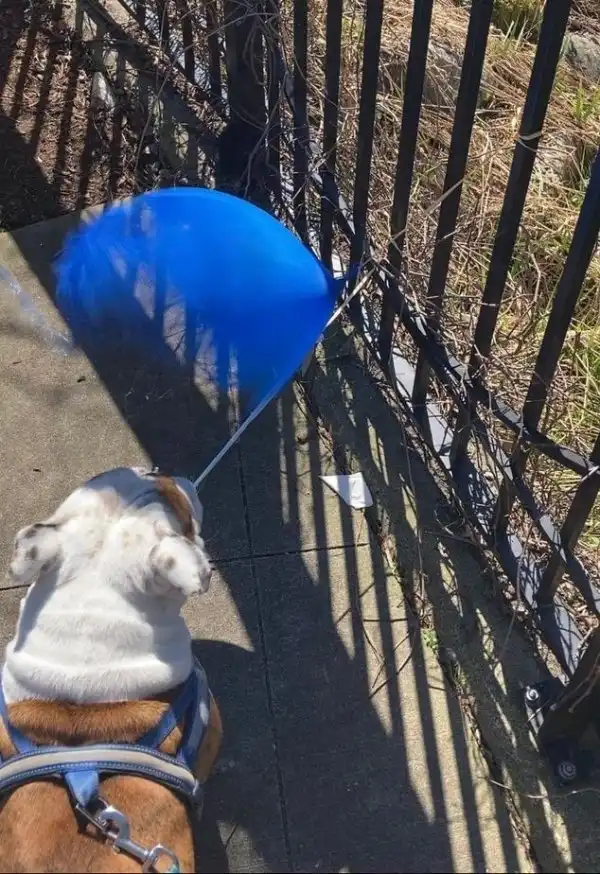 Подборка странных сбоев и совпадений