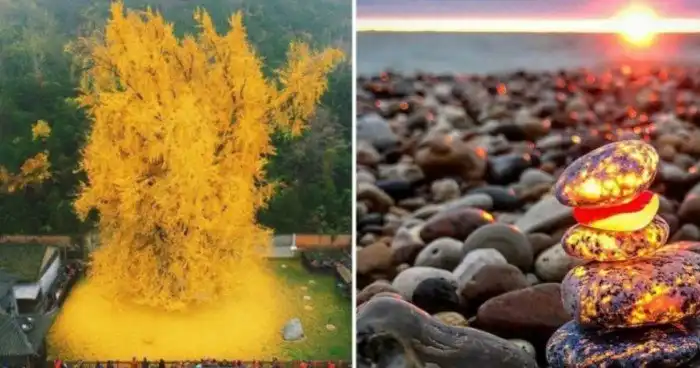 15 раз, когда люди встретили что-то действительно потрясающее