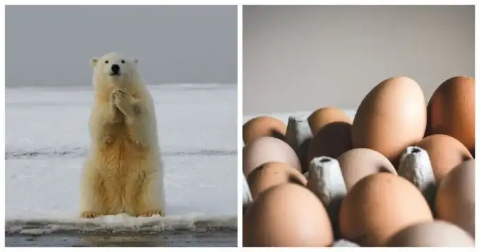 20 фактов, о которых большинство людей предпочтет ничего не знать