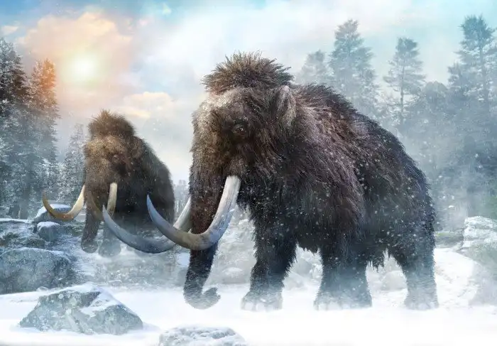 Мамонты, гигантские ленивцы, саблезубые тигры: почему исчезла вся мегафауна прошлого?