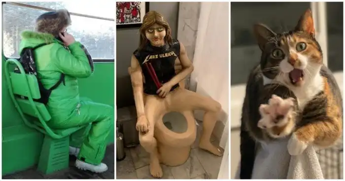 17 веселых кадров, претендующих на звание "Мем года"