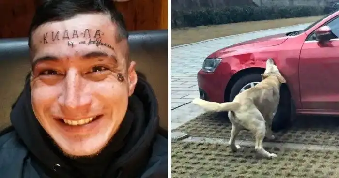 18 фотографий, доказывающих, что месть может быть разной