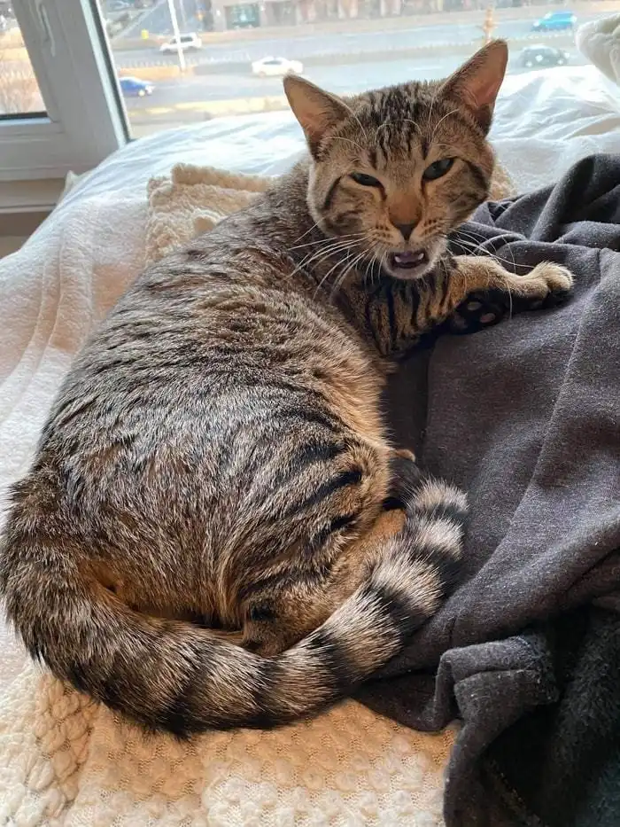 18 фотографий, доказывающих, что месть может быть разной