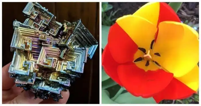 Жизнь как чудо: 25 крутых и необычных вещей вокруг нас