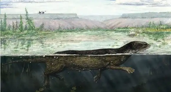 Пуйила: Промежуточное звено между выдрами и тюленями. Зверь внёс жёсткие разногласия в устоявшуюся модель эволюции