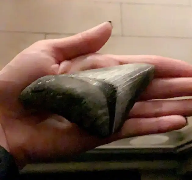 16 находок на пляжах, которые заставили людей задуматься: "Откуда это вообще здесь?"