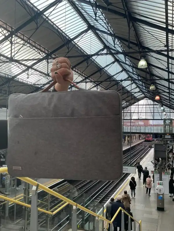 Подборка забавных фотографий, в которые надо вглядеться