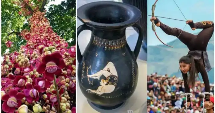 17 увлекательных фотографий диковинных вещей