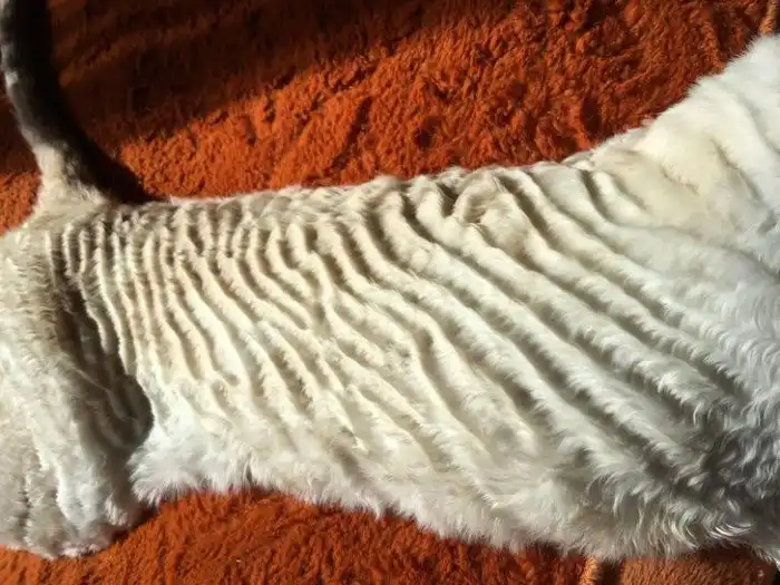 18 случаев, когда природа показала, кто тут на самом деле главный