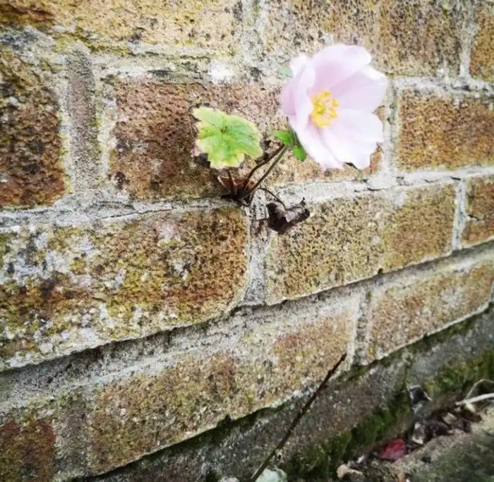 18 случаев, когда природа показала, кто тут на самом деле главный