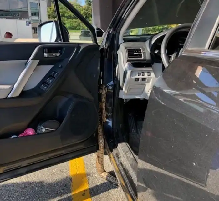 18 человек, которым не просто повезло. В них фортуна буквально влюбилась