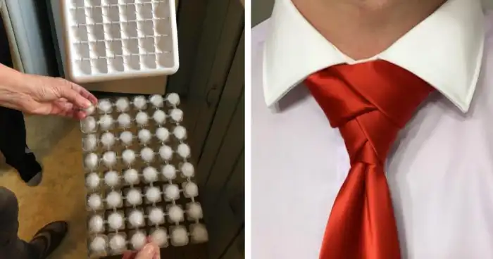 22 фото, которые доказывают, что совершенство существует