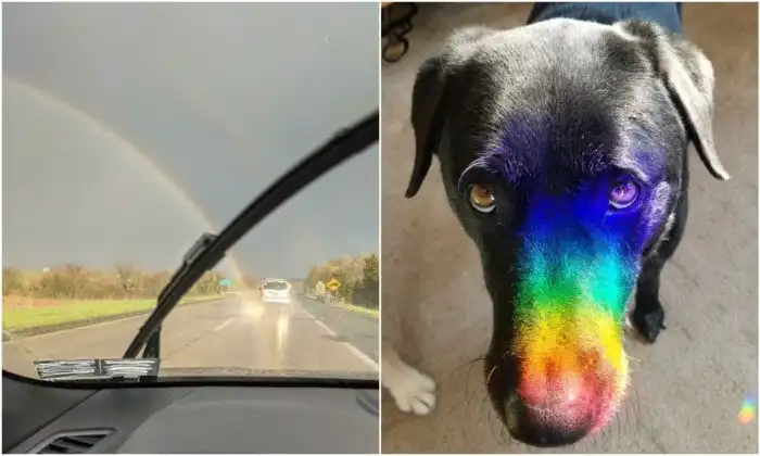 20+ интересных и необычных снимков с радугой