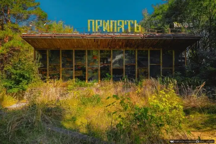 Как зарастает Припять спустя 35 лет после аварии на ЧАЭС