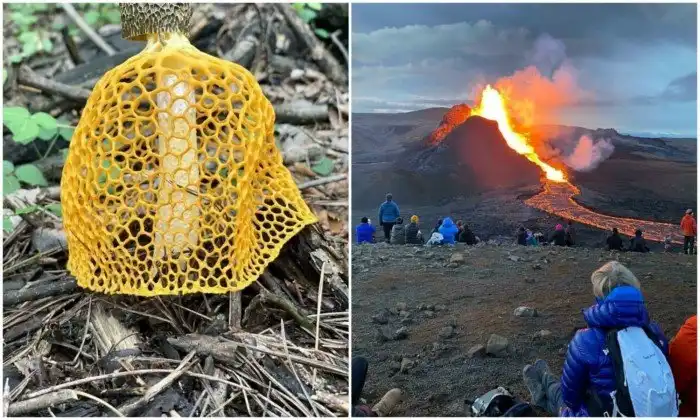 Природа творит: 20+ случаев, когда окружающий мир нас удивил