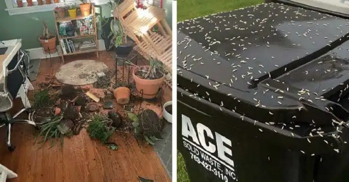 Домашние катастрофы - не дай бог такое!