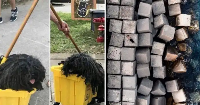 15 хитрых снимков, которые любого могут поставить в тупик