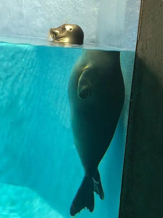 15 хитрых снимков, которые любого могут поставить в тупик