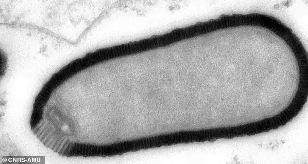 Таянье льдов грозит планете эпидемиями
