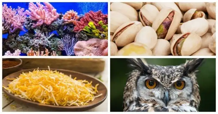 25 занятных фактов, которые очень хорошо запоминаются