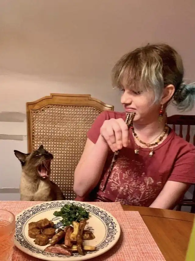 30 случаев, когда питомцы забавно демонстрировали своё желание поесть