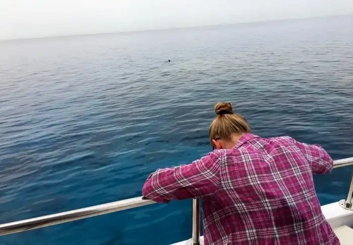 Почему возникает морская болезнь, и как с ней бороться?