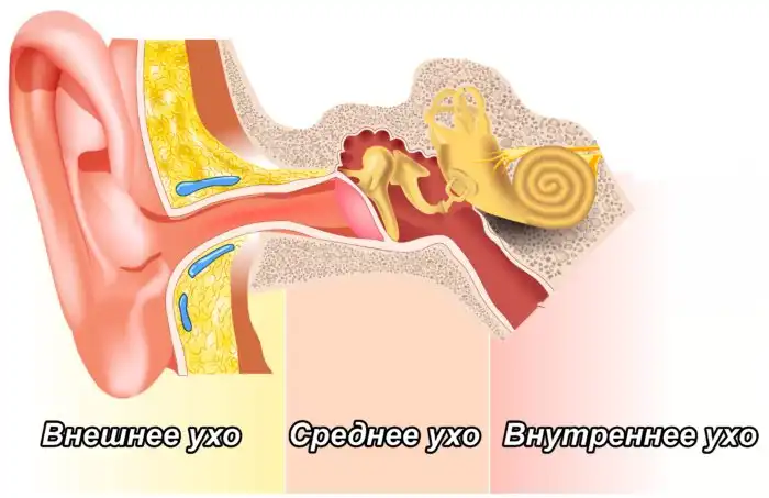 Почему возникает морская болезнь, и как с ней бороться?