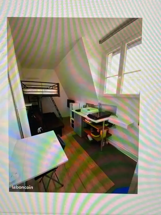 Блогерша показала, какую квартиру можно снять в Париже за 550 евро